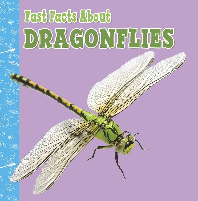 Fast Facts About Dragonflies by Julia Garstecki-Derkovitz