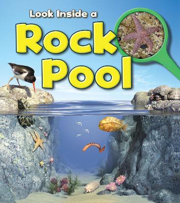 Rock Pool by Louise Spilsbury