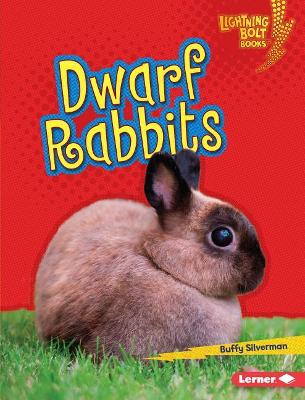Dwarf Rabbits by Buffy Silverman