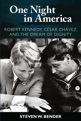One Night in America by Steven W. Bender