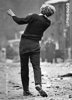 Uprisings book