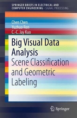 Big Visual Data Analysis book