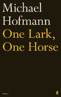 One Lark, One Horse book