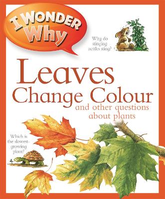 I Wonder Why Leaves Change Colour by Andrew Charman