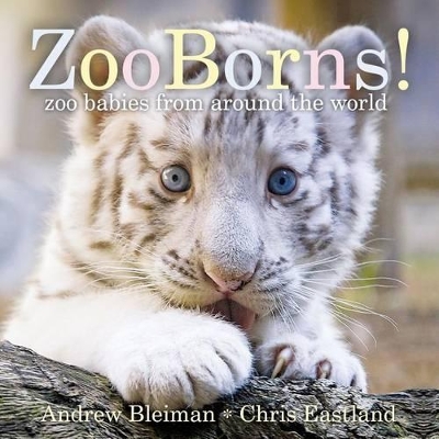 Zooborns!: Zoo Babies from Around the World book