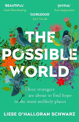 The Possible World by Liese O'Halloran Schwarz