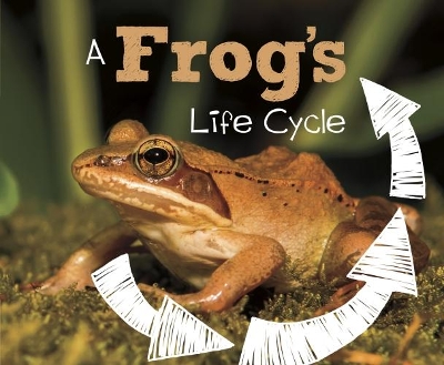 A Frog's Life Cycle book
