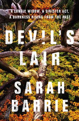 Devil's Lair book
