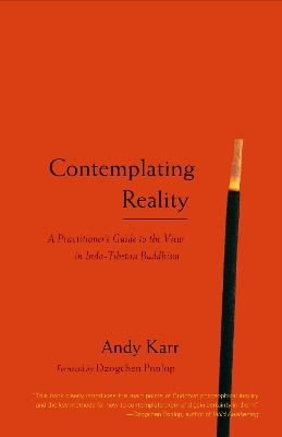 Contemplating Reality book