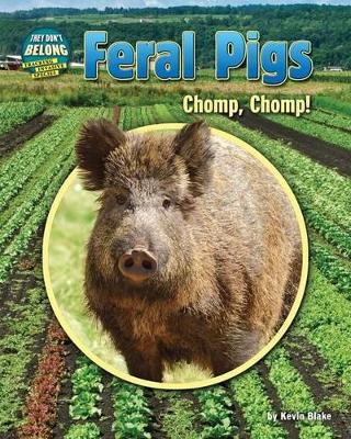 Feral Pigs book