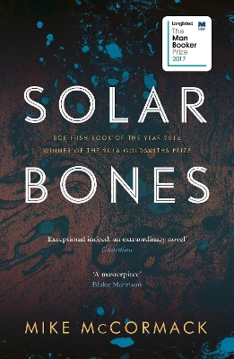 Solar Bones book