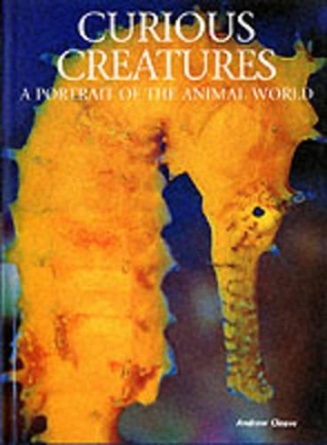Curious Creatures book