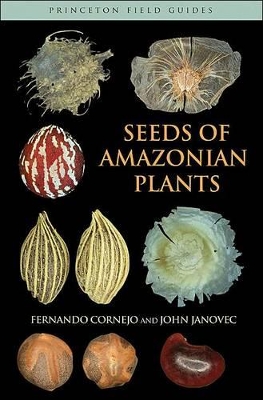 Seeds of Amazonian Plants by Fernando Cornejo