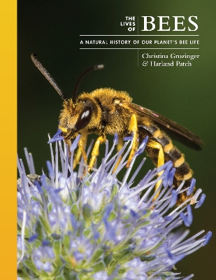 The Lives of Bees: A Natural History of Our Planet's Bee Life book