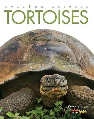 Amazing Animals: Tortoises by Kate Riggs