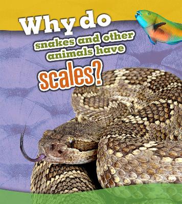 Why Do Snakes and Other Animals Have Scales? by Clare Lewis
