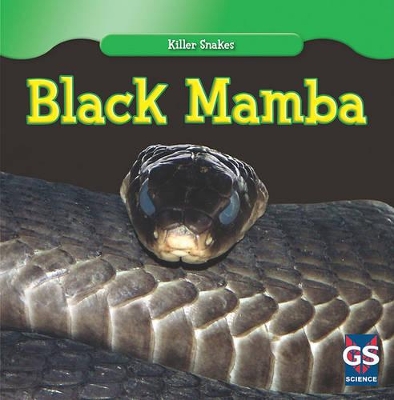 Black Mamba book