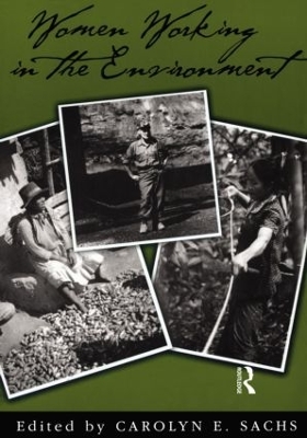 Women Working in the Environment book