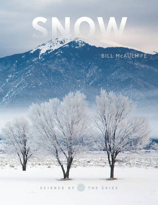 Snow book