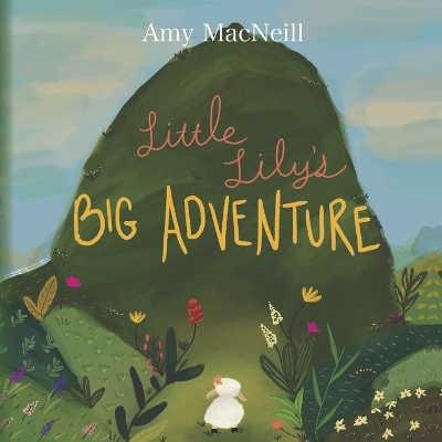 Little Lily's Big Adventure by Amy MacNeill