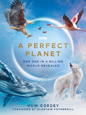 A Perfect Planet book