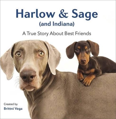 Harlow & Sage (And Indiana): A True Story About Best Friends book