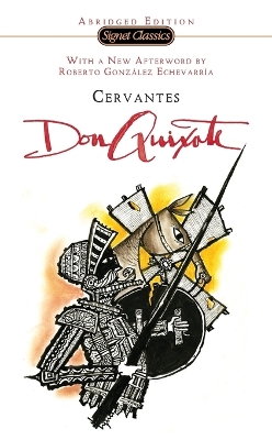 Don Quixote book