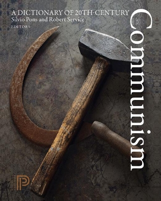 Dictionary of 20th-Century Communism book