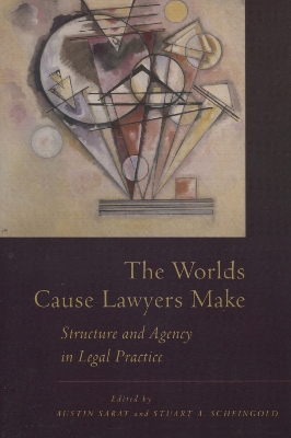 Worlds Cause Lawyers Make book