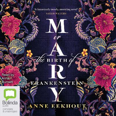 Mary; or, the Birth of Frankenstein book