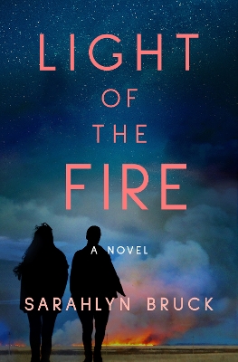 Light of the Fire: A Novel book