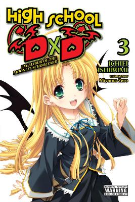 High School DxD, Vol. 3 (light novel) book