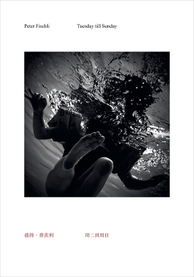Peter Fischli - Tuesday till Sunday book
