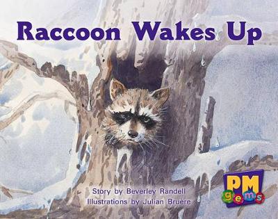 Raccoon Wakes up book