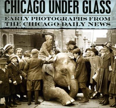 Chicago Under Glass by Richard Cahan