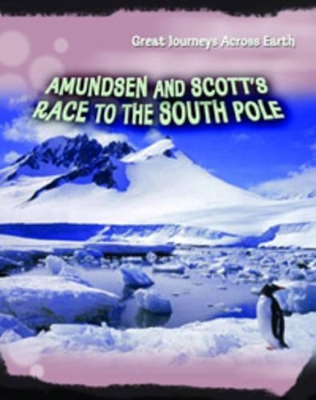 Amundsen and Scott's Race to the South Pole by Liz Gogerly