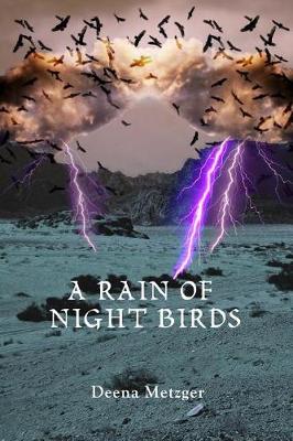 A Rain of Night Birds book