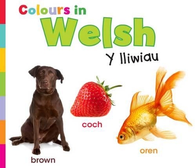 Colours in Welsh: Y lliwiau by Daniel Nunn