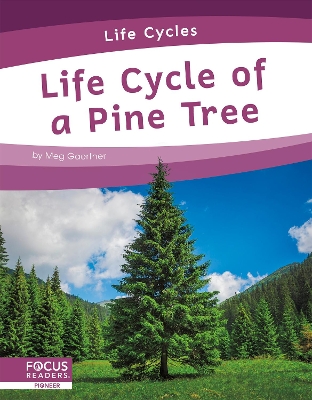 Life Cycle of a Pine Tree by Meg Gaertner