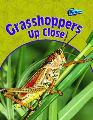 Grasshoppers Up Close book