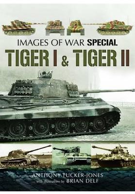 Tiger I and Tiger II book