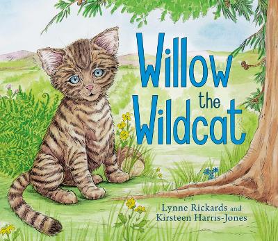 Willow the Wildcat book