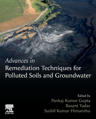 Advances in Remediation Techniques for Polluted Soils and Groundwater book
