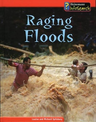 Raging Floods by Louise Spilsbury