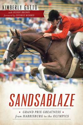 Sandsablaze book