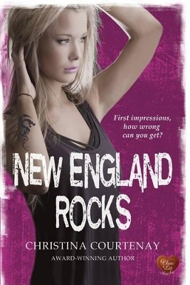 New England Rocks book