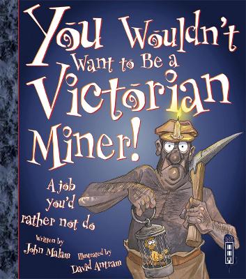 You Wouldn't Want To Be A Victorian Miner! book