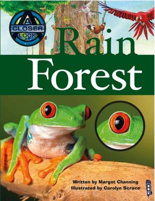 Rain Forest by Margot Channing