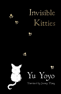 Invisible Kitties book