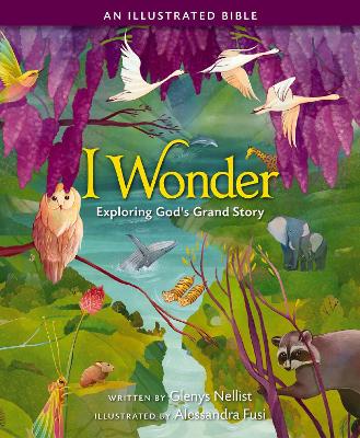 I Wonder: Exploring God's Grand Story: an Illustrated Bible book